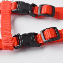 Load image into Gallery viewer, Cat Dog Collar Harness Leash Adjustable Nylon Pet Traction Cat Kitten Halter Collar gato Cats Products Pet Harness Belt